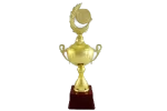 Customised Trophies