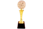Fibre Trophies
