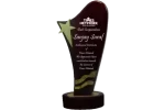 Wood & Metal Trophies