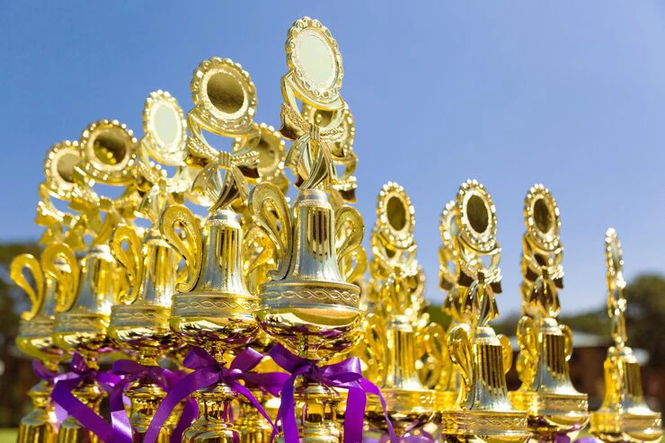 Read more about the article Creative Trophy Ideas for Family or Community Events