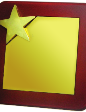 Mementoes & Certificates - BT 10628