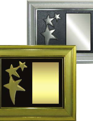3 Star Mementoes & Certificates Manufacturers - BT 10692