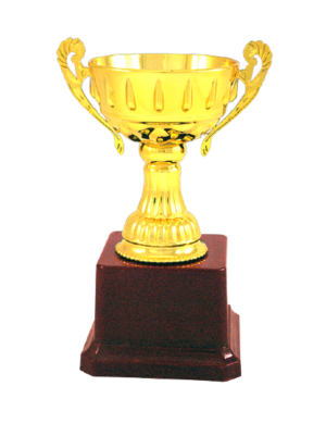 Sports Cup Fiber Trophies Manufacturers - BT 121