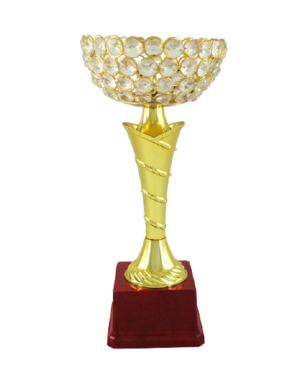 Diamond Cup Fiber Trophies Manufacturers - BT 1251