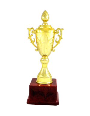 Golden Fiber Trophies Manufacturers - BT 901