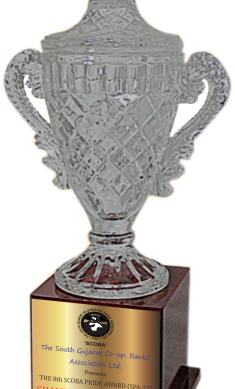 Crystal Cup Trophies Manufacturers - BT 211