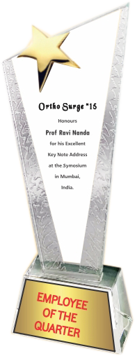 Star Crystal Trophies Manufacturers - BT 455