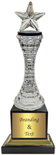 Top Star Crystal Trophies Manufacturers - BT 475