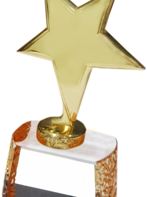 Star Crystal Trophies Manufacturers - BT 487