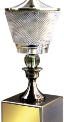 Shine Cup Crystal Trophies Manufacturers - BT 489