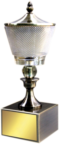 Shine Cup Crystal Trophies Manufacturers - BT 489