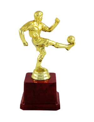 Fiber Trophies - BT 513