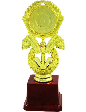 Fiber Gold Plastic Trophies Manufacturers - BT 516