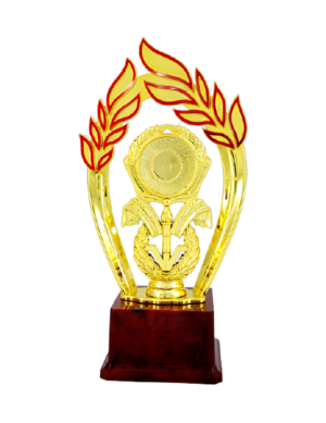 Insignia Fiber Trophies Manufacturers - BT 524