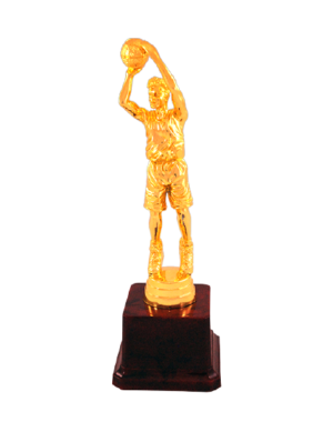 Basketball Fiber Trophy Manufacturers - BT 530