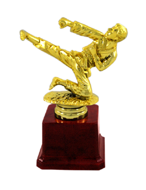 Karate Fiber Trophy Manufacturer - BT 531