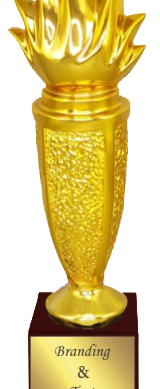 Flame Resin Trophies Manufacturers - BT 608