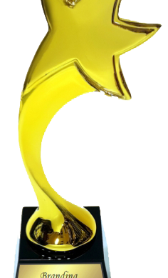 Slanting Gold Star Resin Trophies Manufacturers - BT 629
