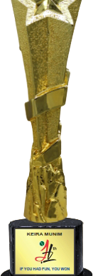 Bold Star Resin Trophies Manufacturers - BT 647