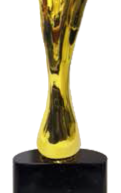 Rising Star Resin Trophies Manufacturers - BT 651