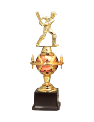 Cricket Fiber Trophies Manufacturers - BT 664