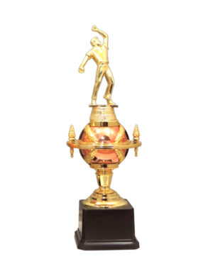 Cricket Bowler Fiber Trophies Manufacturers - BT 665