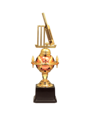 Cricket Fiber Trophies Manufacturers - BT 666