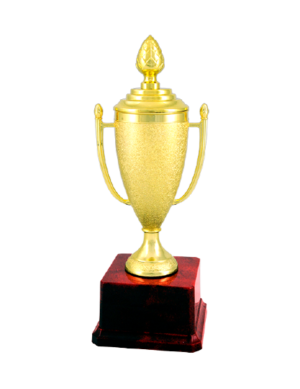 Golden Cup Fiber Trophies Manufacturers - BT 801