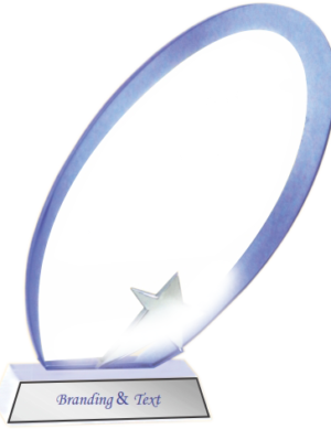 Oval Acrylic Trophies Manufacturers - BT 8470