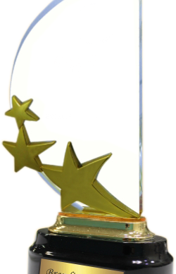 Curve Star Acrylic Trophies Manufactures - BT 8478