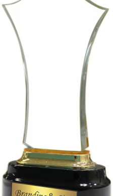 Wave Acrylic Trophies Manufacturers - BT 8483