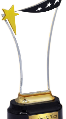 Acrylic Trophies Manufacturers - BT 8487