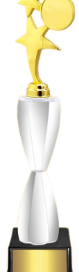 Top Star Acrylic Trophies Manufactures - BT 8488