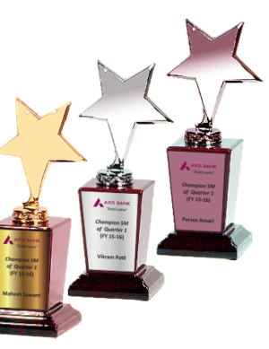 Champion Wood & Metal Trophies Manufacturers - BT 9501