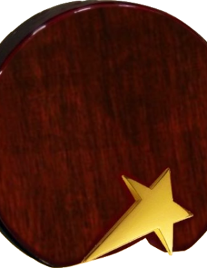 One Star Wood & Metal Trophies Manufacturers - BT 9503