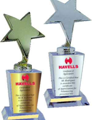 Silver Gold Wood & Metal Trophies manufacturers - BT 9523