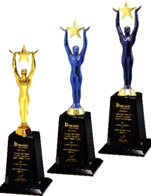 Invictus Wood & Metal Trophies Manufacturers - BT 9619