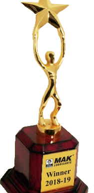 Top Achiever Wood & Metal Trophies Manufacturers - BT 9620