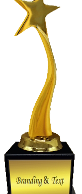 One Star Wood & Metal Trophies Manufacturers - BT 9637