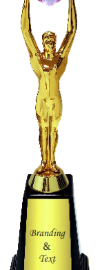 Diamond Wood Metal Trophies Manufacturers - BT 9860