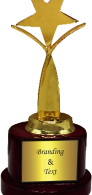 Star Wood Metal Trophies Manufacturers - BT 9894