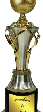 Golden Globe Wood & Metal Trophies Manufacturers - BT 9907