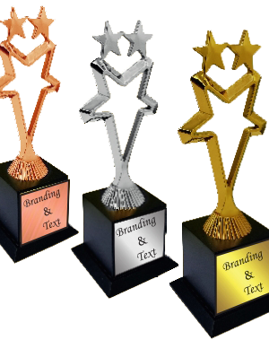 Star Wood Metal Trophies Manufacturers - BT 9914