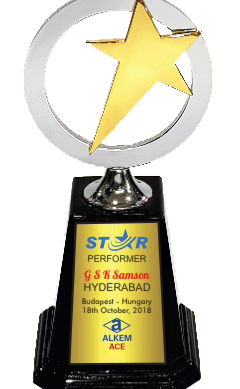 Round Star Wood & Metal Trophies Manufacturers - BT 9916