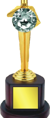 Diamond Wood & Metal Trophies Manufacturers - BT 9928