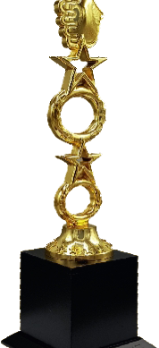Wood Metal Trophies Manufacturers - BT 9966