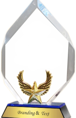 Star Wings Acrylic Trophies Manufacturers - BT 8438