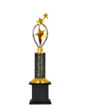 Gold Star Crystal Trophies Manufacturers - BT 101