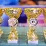 cups-awarding-champion-dogs-closeup_392339-2476