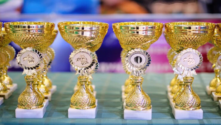 Read more about the article Trophy Manufacturer in Patna